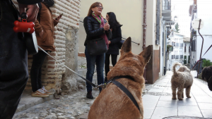 Visita guiada realejo con perros