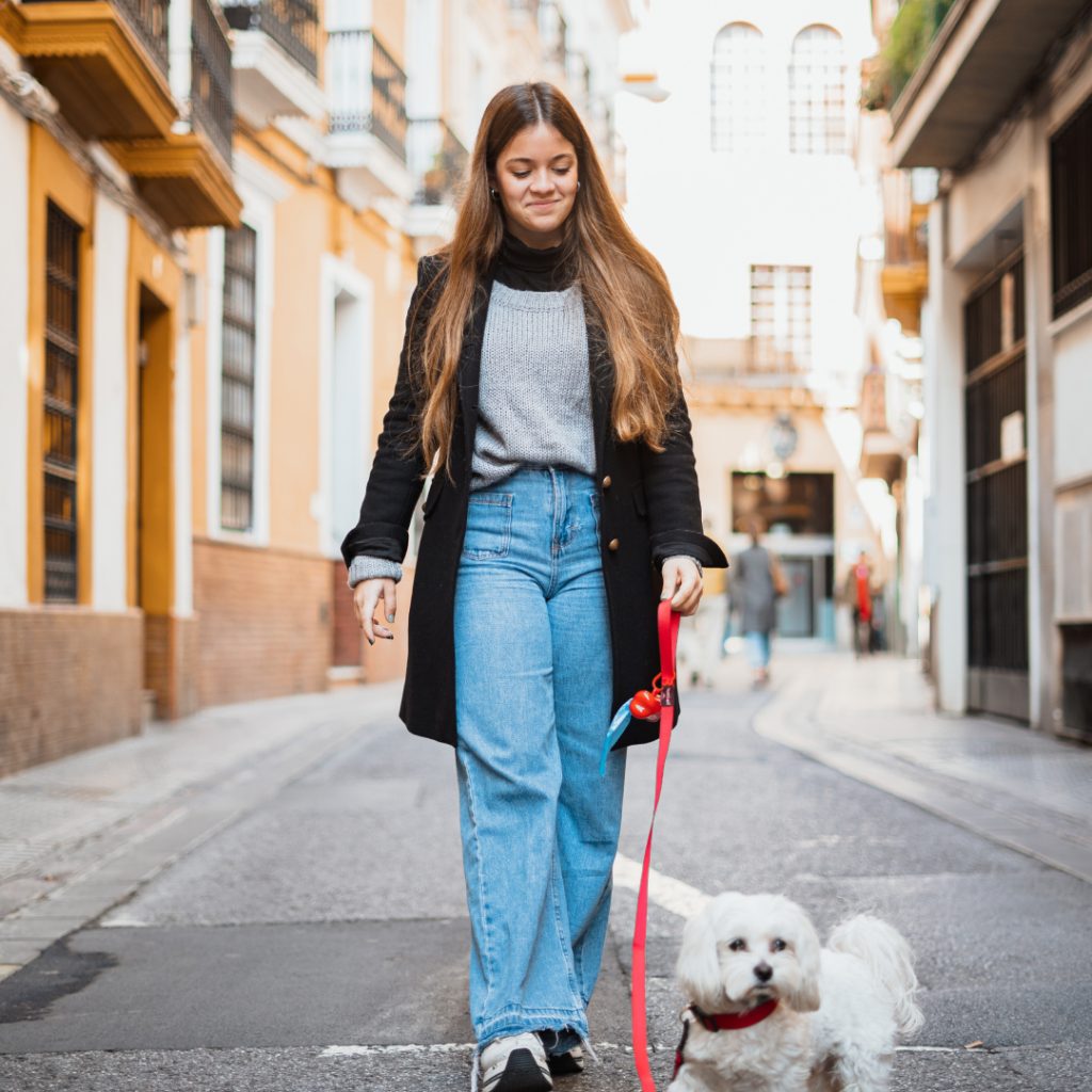 Viajar con perro a Granada